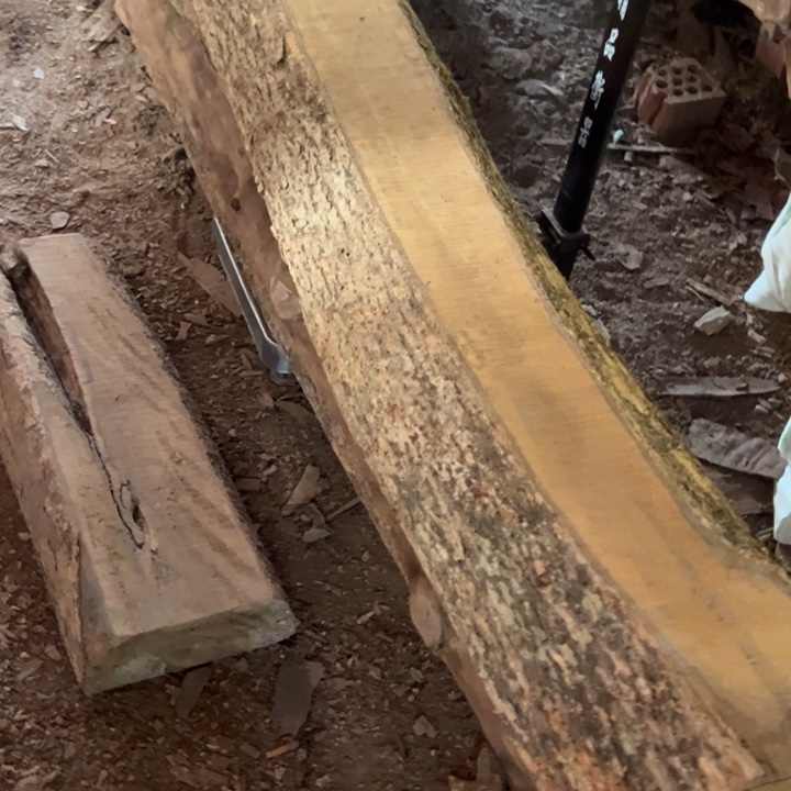 风***。小叶桢楠，金丝楠木