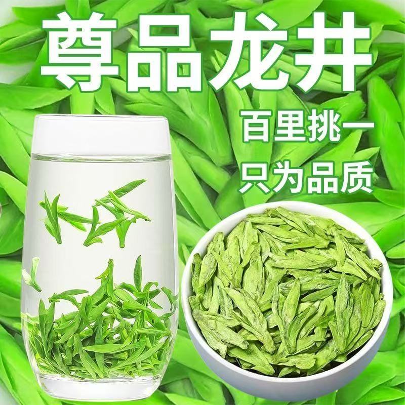 源头厂家直销 2025年新茶龙井绿茶 大佛龙井茶 豆香型 浓香耐泡