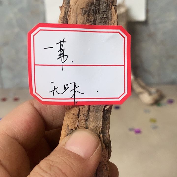 一***江大叶紫檀（黑酸枝木类）