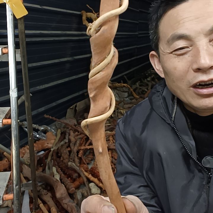 稳定木A***n贵州檬子木   铁马鞭   根艺  半成品