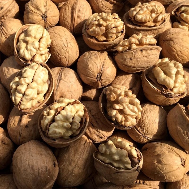 【新疆直发】新疆2025年新货薄皮核桃无水洗无加工原生态 