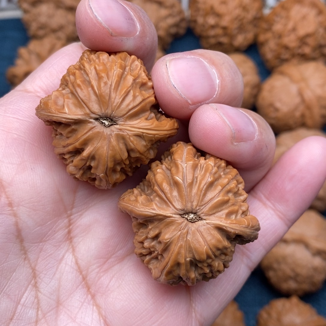 文玩核桃把件33精品山地球磨