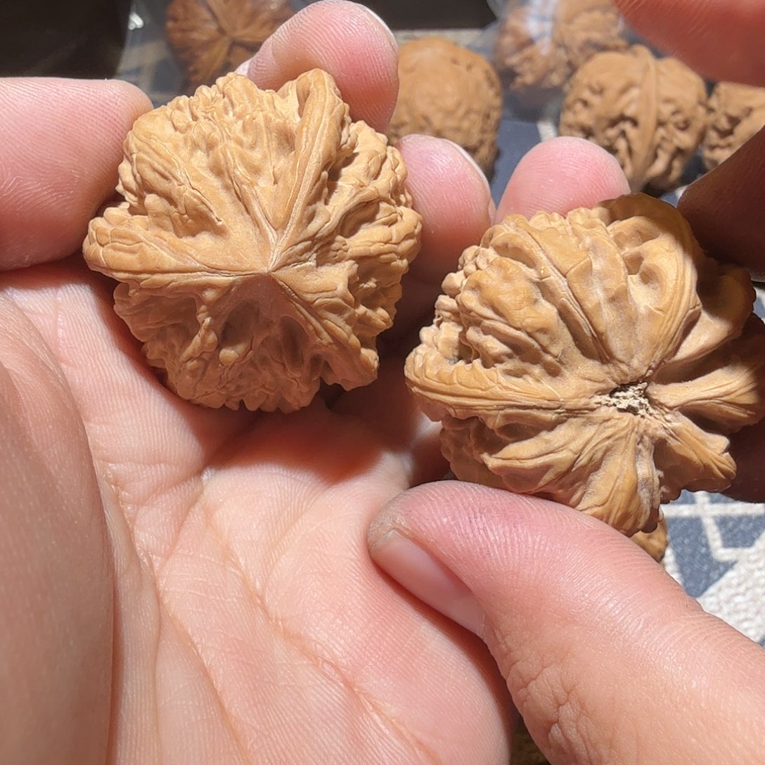 文玩核桃把件御龙正奔