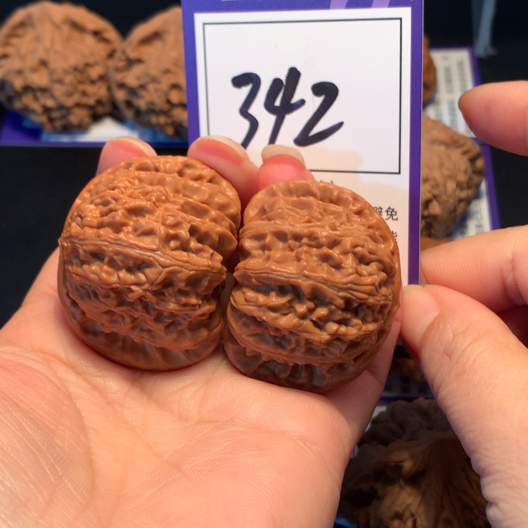 大叶紫檀（黑酸枝木类）342白狮子4.1