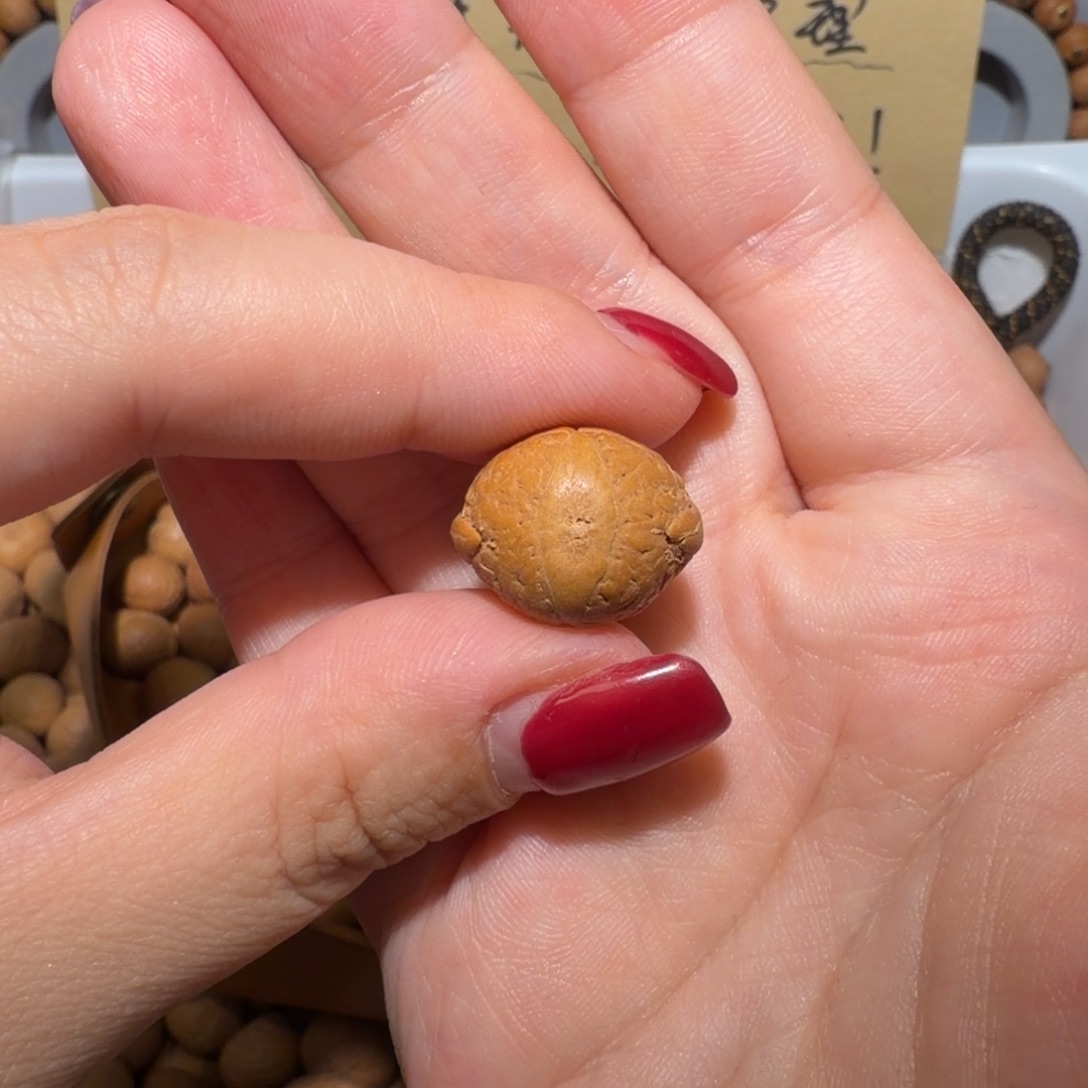 大***岳凤眼菩提吊坠大岳