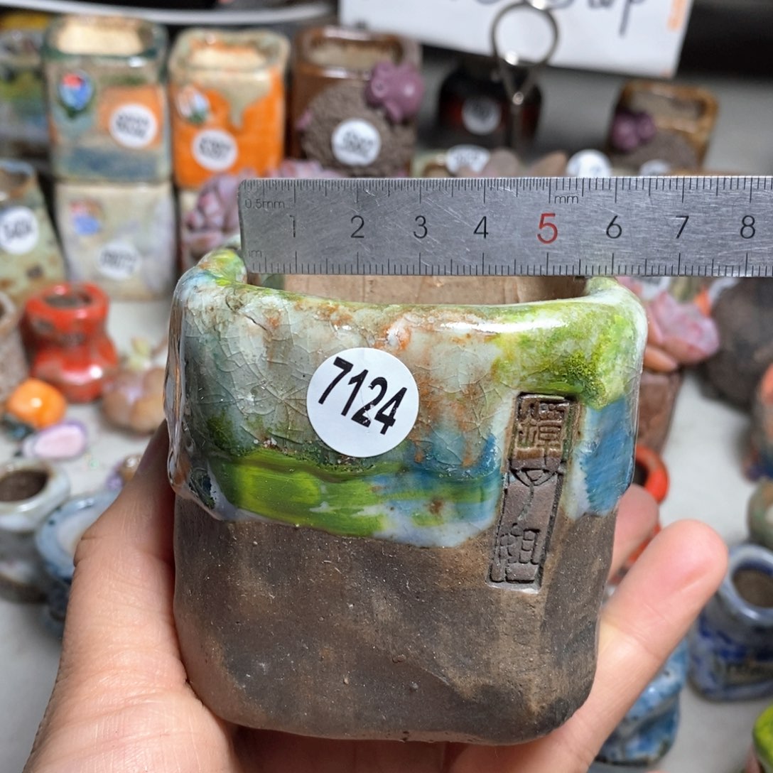 多肉花盆拍3送一个小礼物