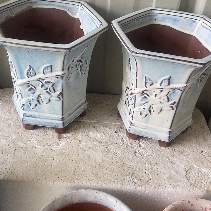 红糖18。。。。。18。。。。。。。