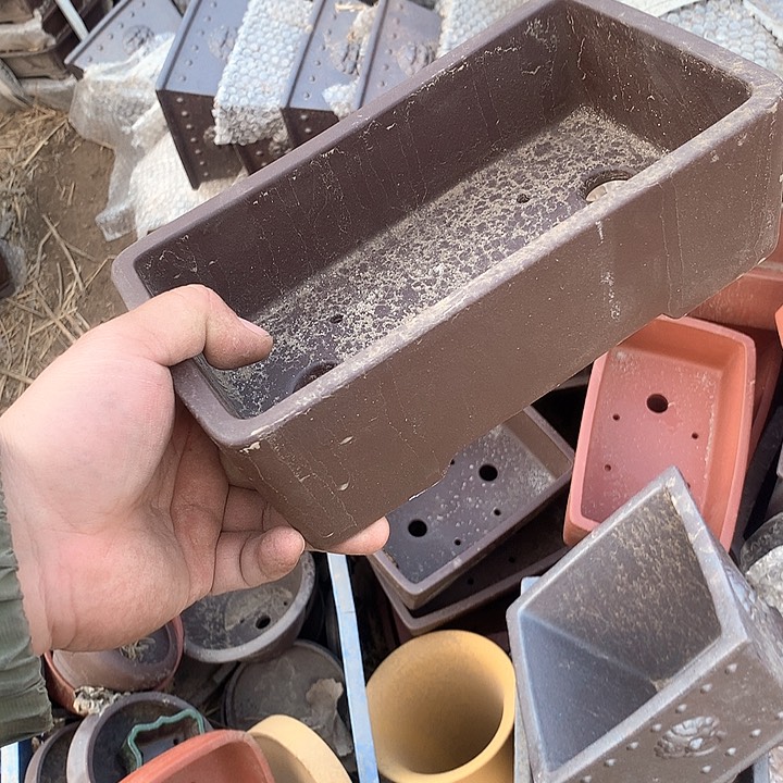 紫砂我要不就是你一定