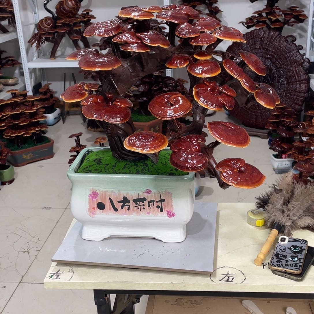 无花朵88888888888888