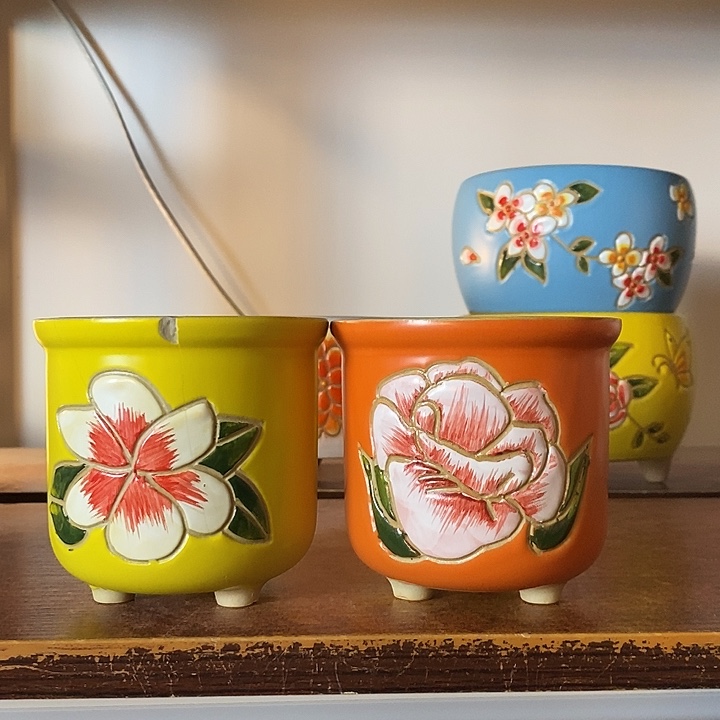 韩式多肉植物花盆