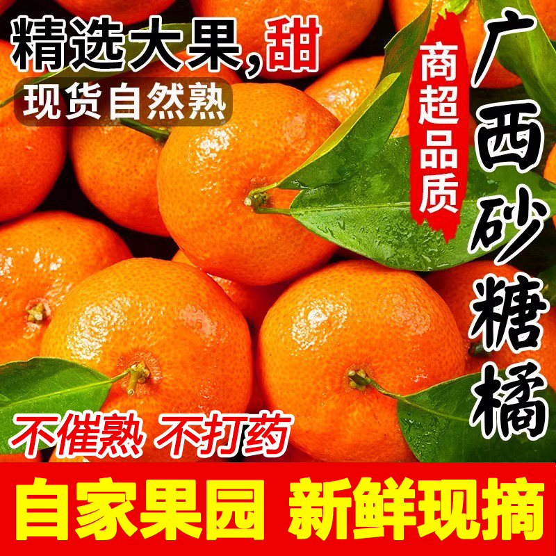 广西正宗桂林砂糖橘甜嫩爆汁水果原产地现摘现发新鲜直达包邮