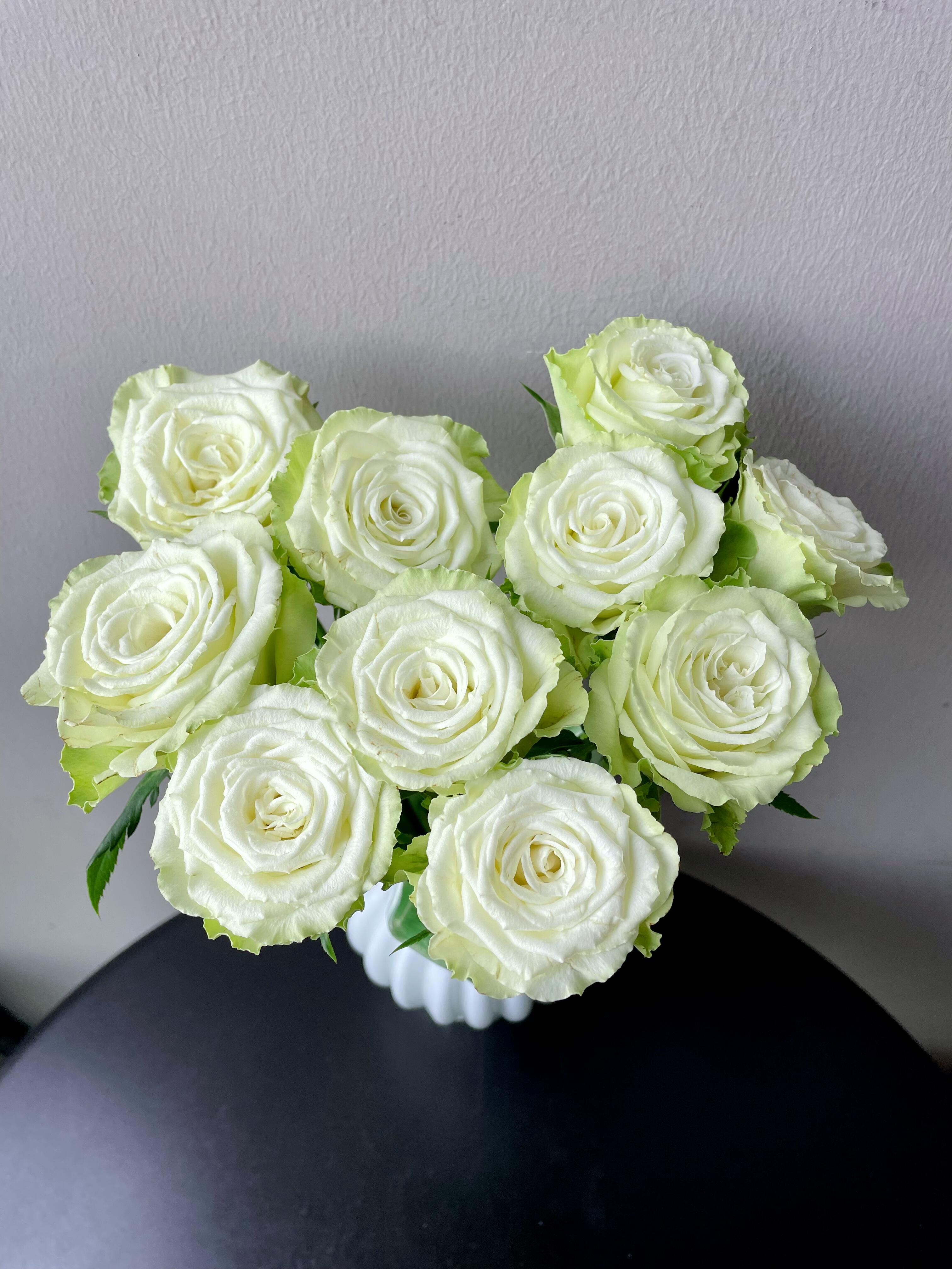 【向云端】山岚-单头玫瑰