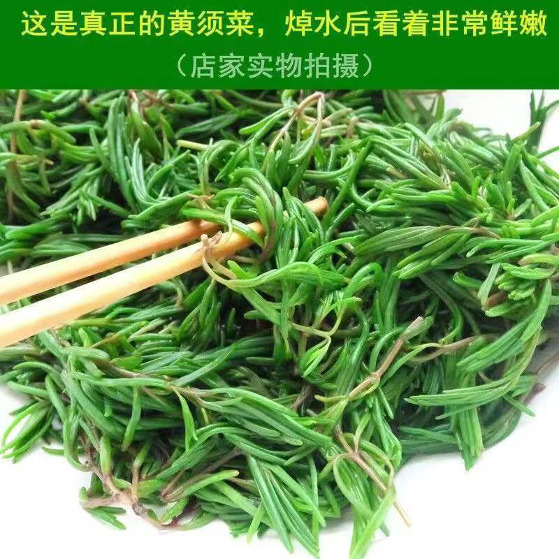 焯水鲜嫩黄须菜火锅食材现挖野菜可凉拌