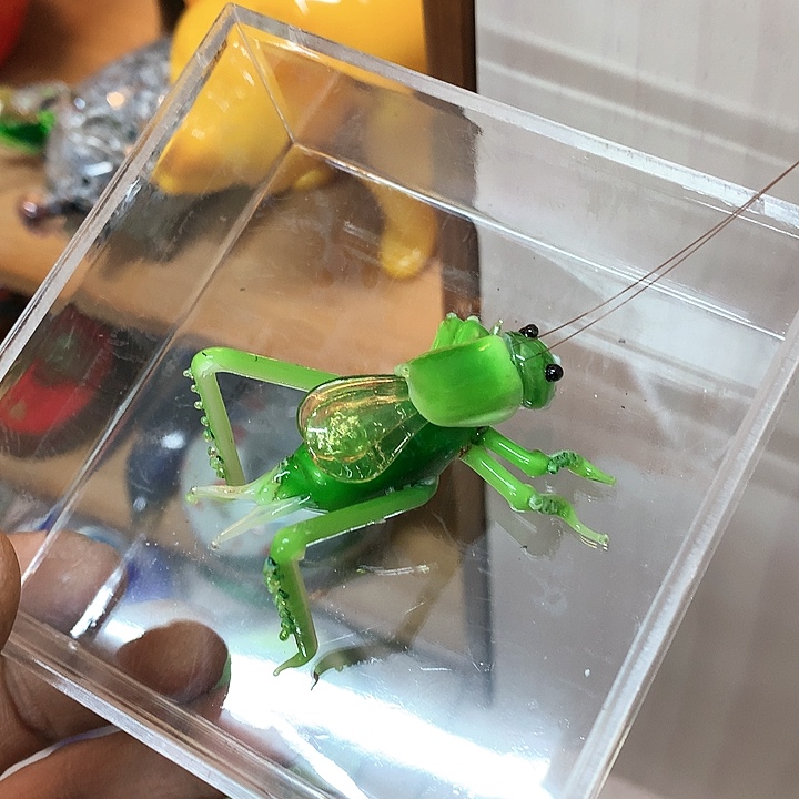 琉璃琉璃琉璃琉璃