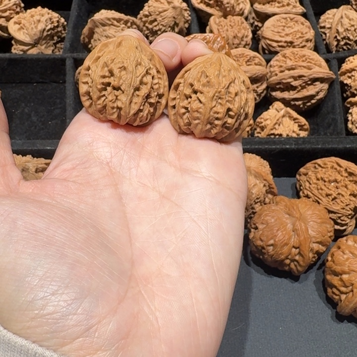 豆***龙文玩核桃把件宫灯33