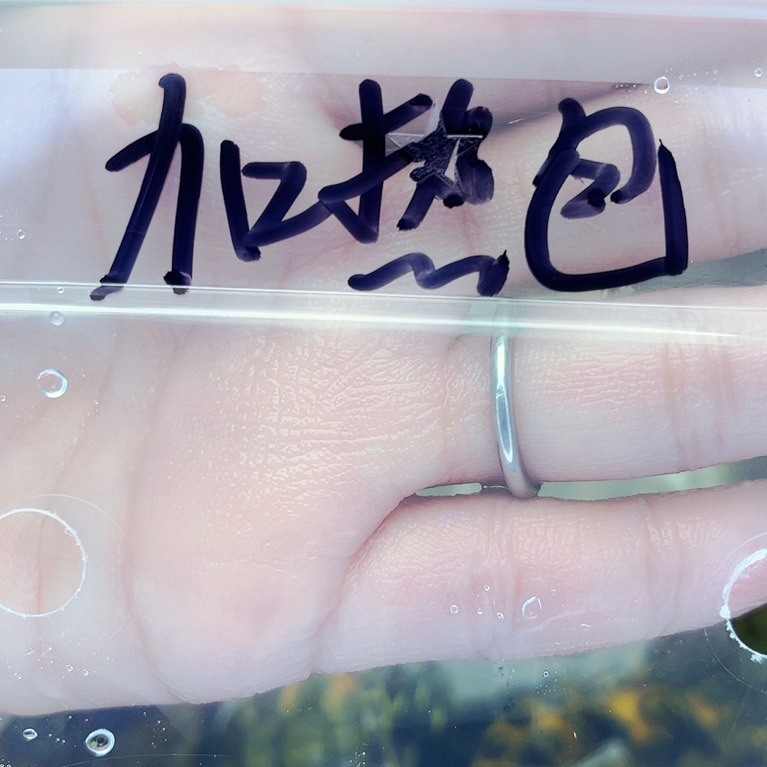 火焰龟母低于零下加热包