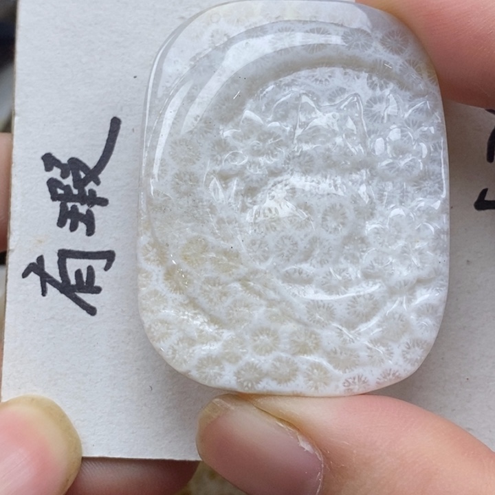 硅化珊瑚（珊瑚玉）未镶嵌颈饰