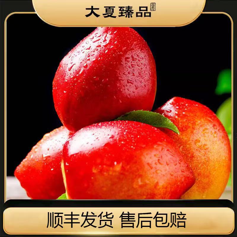 【小玉专属】大夏臻品麻脸油桃应季水果单果100g左右（顺丰包邮）