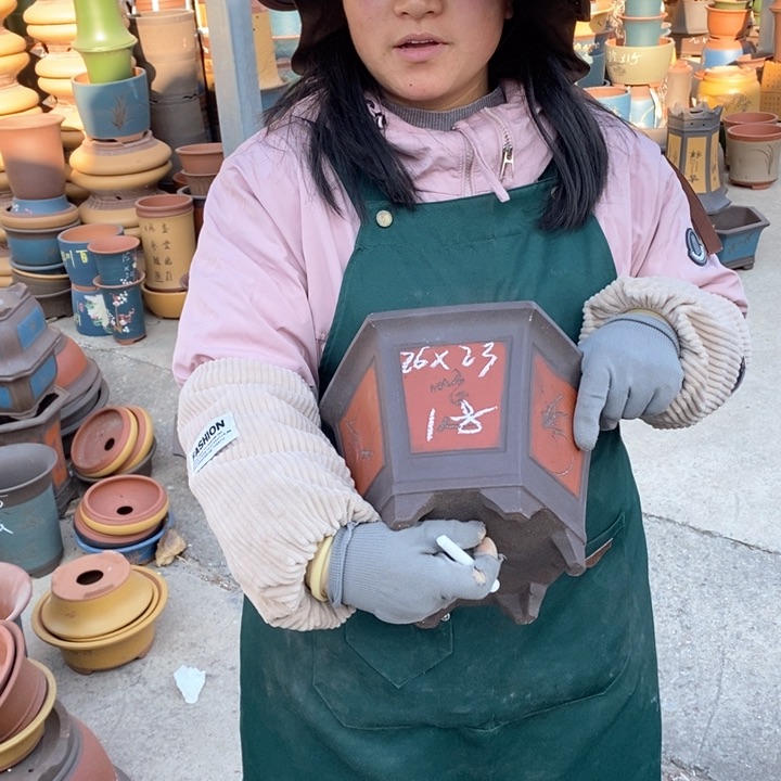 紫砂花盆盆栽花卉苗木种植