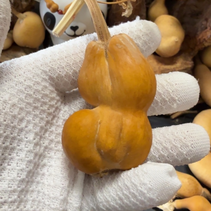 心***安6666666666666666