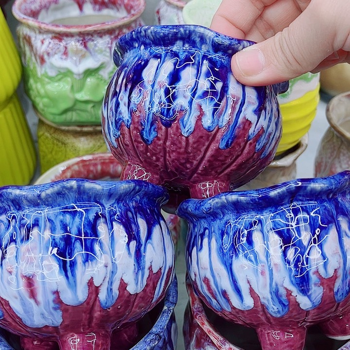 多肉植物陶瓷花盆