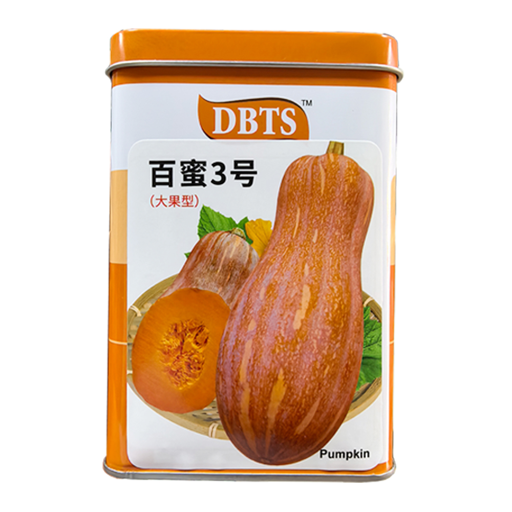 大果蜜本南瓜种籽粉面香甜大果型南瓜种子蜜本南瓜种子高产