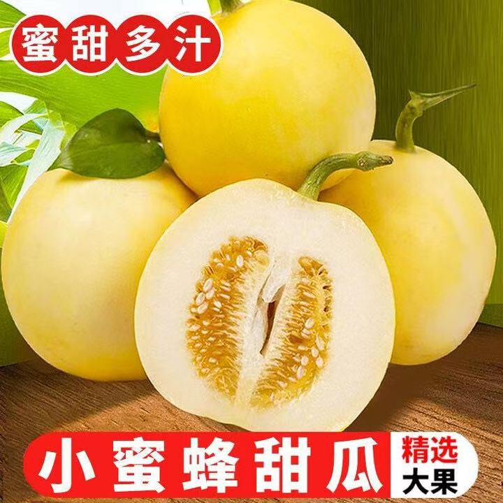 【荣阳星安选】【顺丰】山东头茬小蜜蜂甜瓜脆甜多汁新鲜现摘