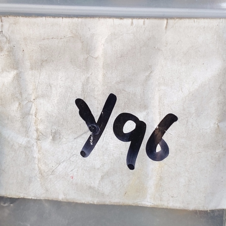 秦***月金属德宝文玩专属链接