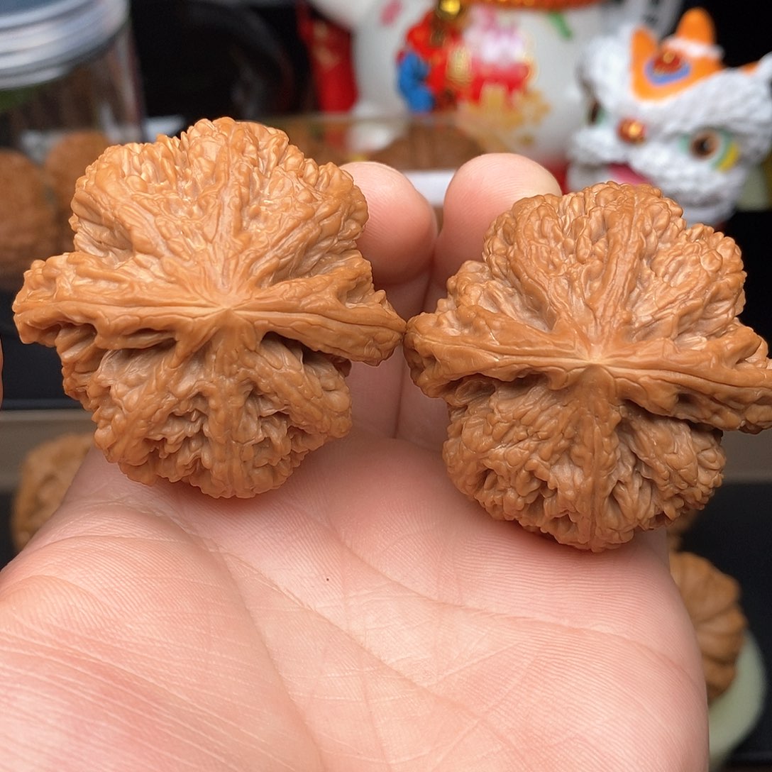 文玩核桃把件47.5大粗筋