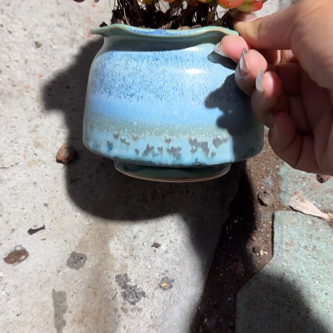 花边花盆种火焰抵押多头