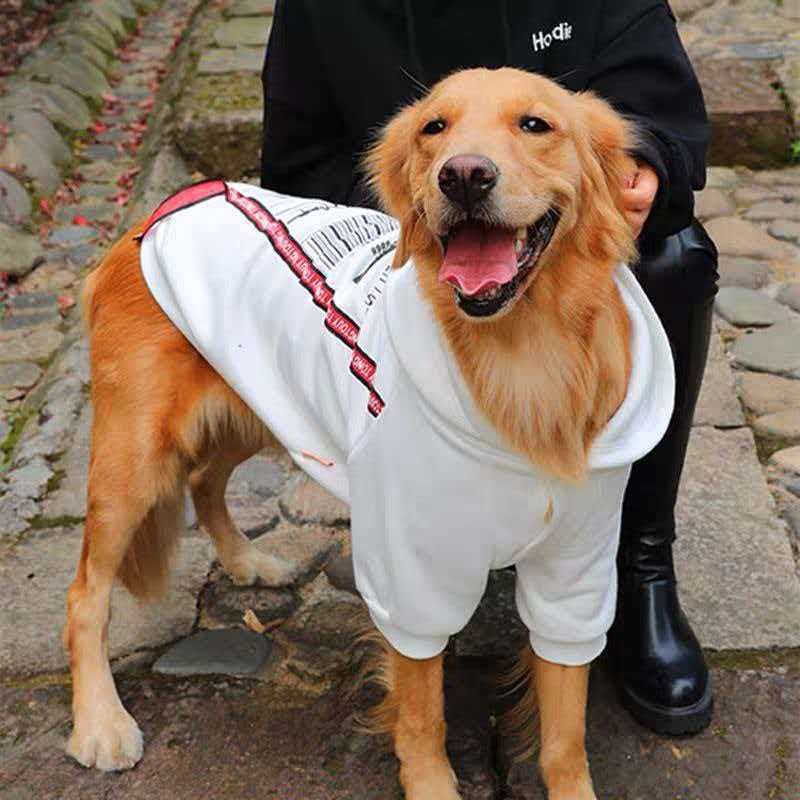 秋冬加绒带帽款狗狗卫衣适合中大型犬如金毛拉布拉多