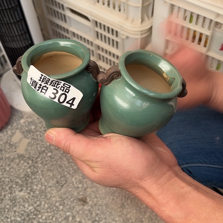 粗陶材质多肉花盆