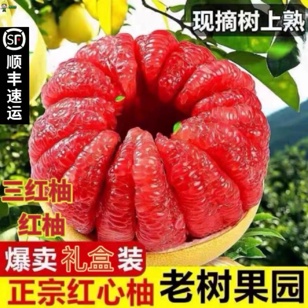【顺丰专线】福建老树现货红心柚子蜜柚应季新鲜水果红肉QY