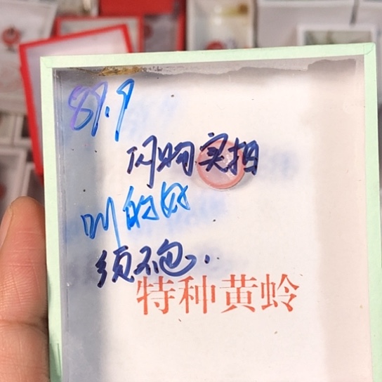 岁***鸟3333333333333333