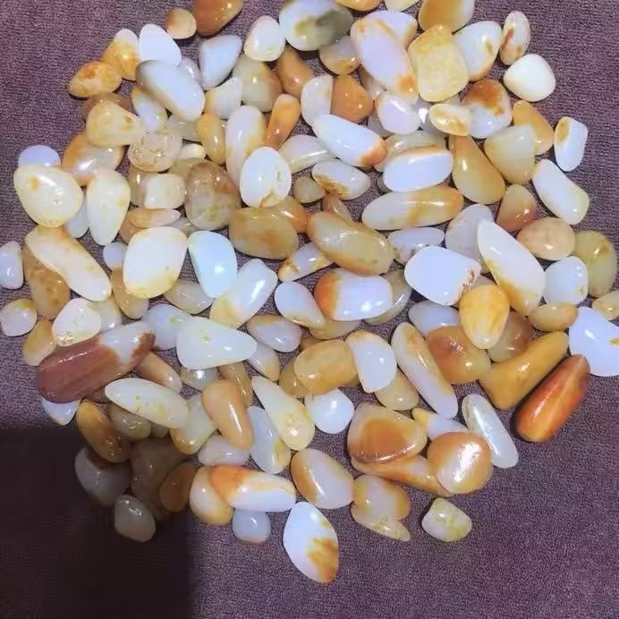 新疆源头籽玉9 购买拍完找客服