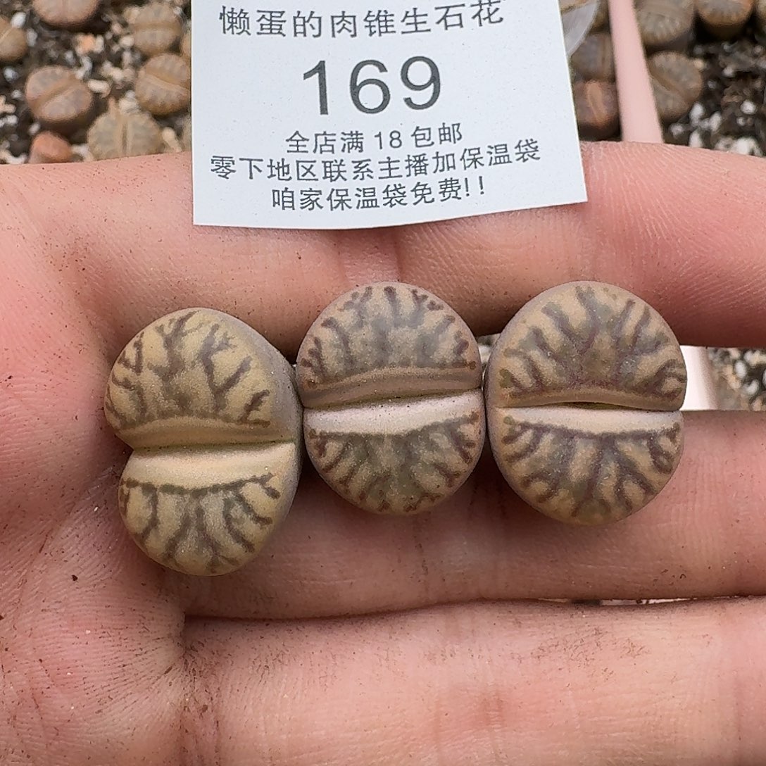 169满18包邮保温袋联系客服