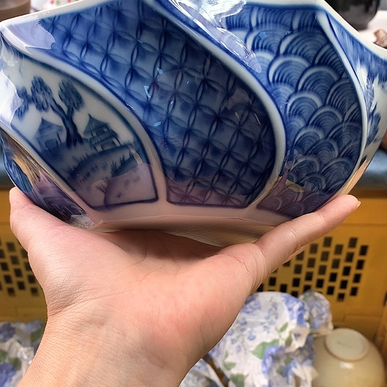 圆***兰这种东西我觉得真的不104