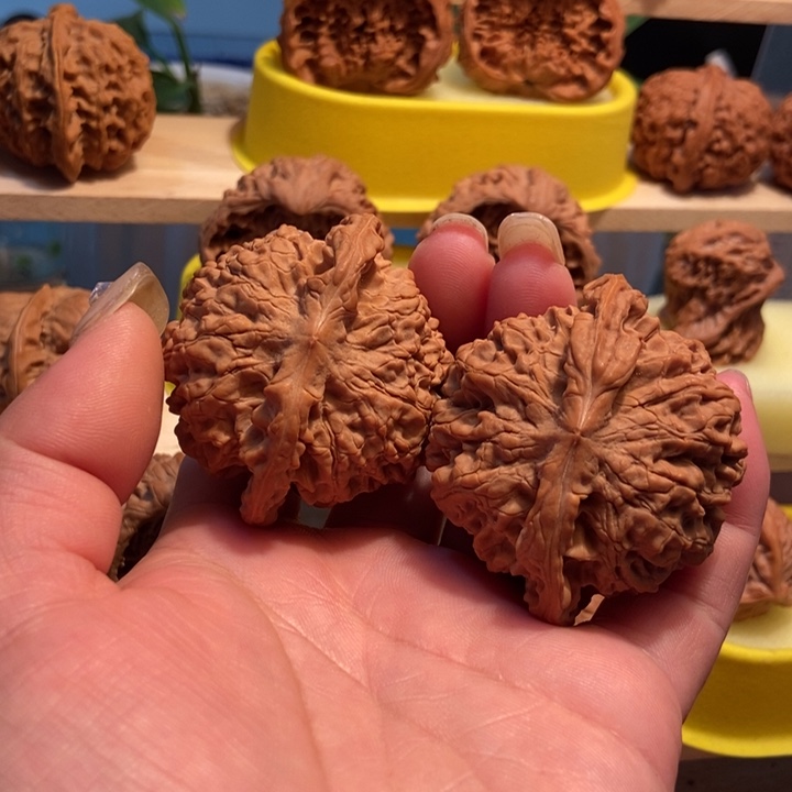 官方网站发布消息