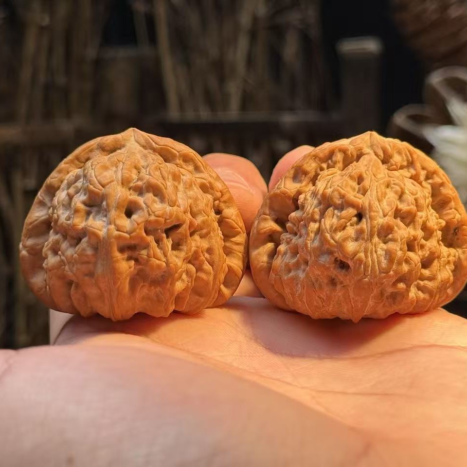 奶嘴尖卡姿兰三角白丨45-43-36丨全品无修