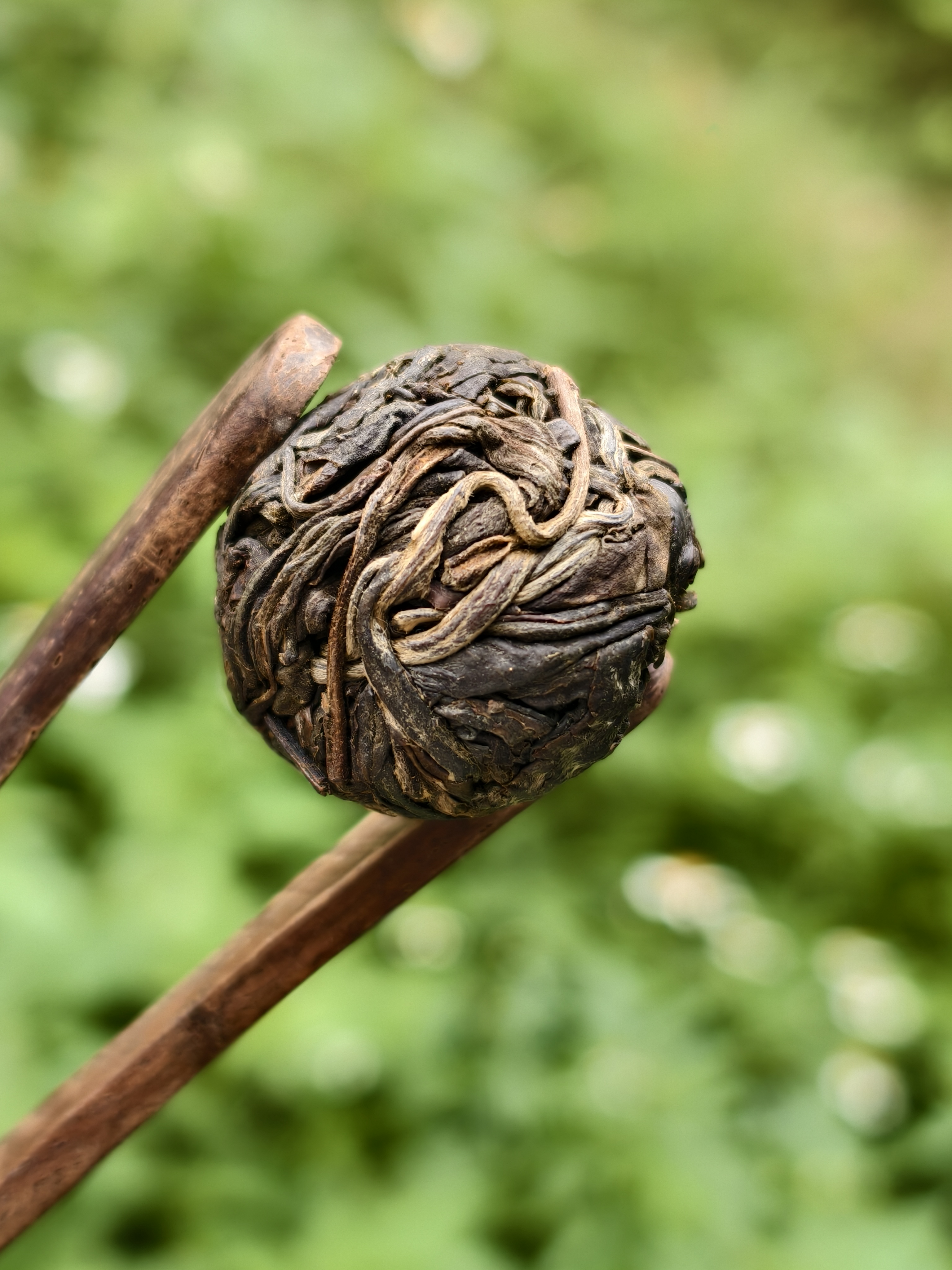 2025年 蛮砖瓦竜古树挑采龙珠 头春头采 普洱生茶 7g*5颗