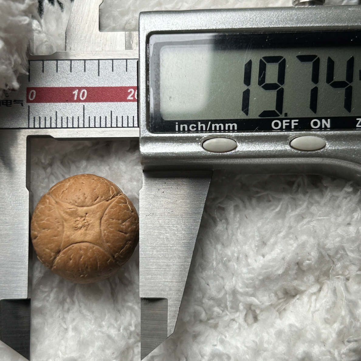19.7mm麒麟眼三通单颗新籽原皮高密高油文玩