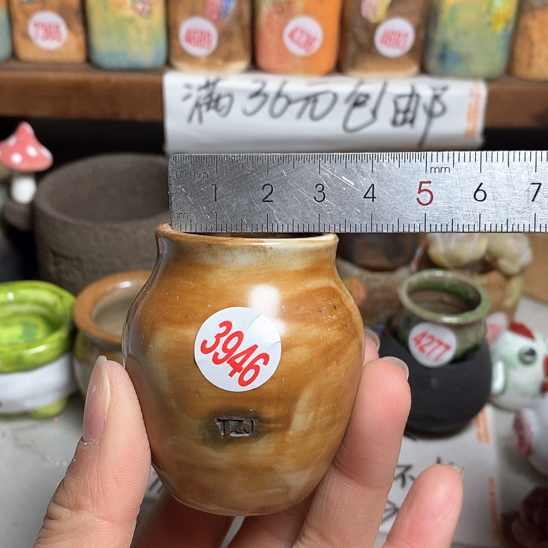 红陶拍5送一个小