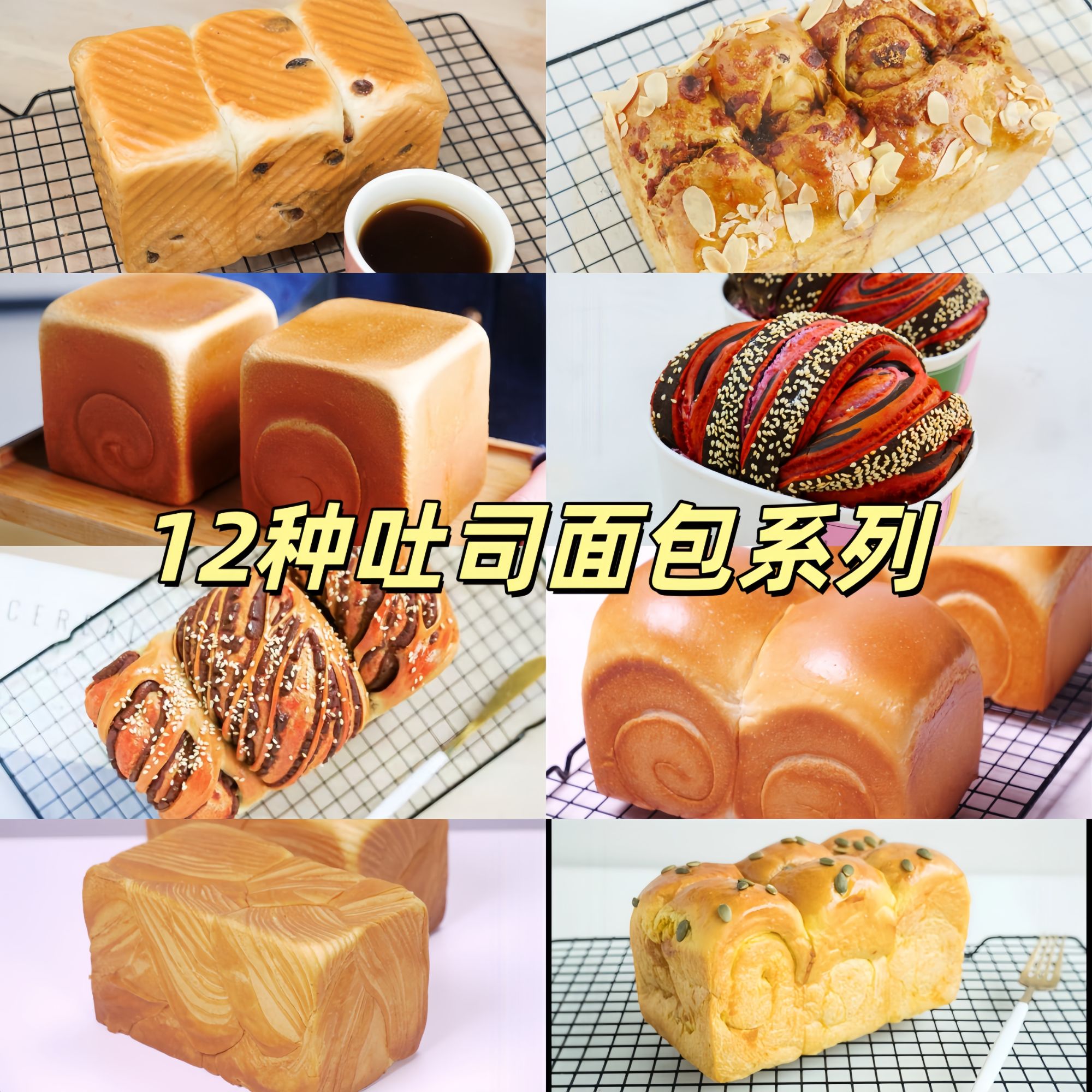 10款吐司面包系列课程 门店家庭蛋糕烘焙培训视频课程