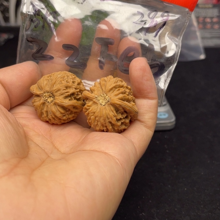 文玩核桃把件Z****1宫灯