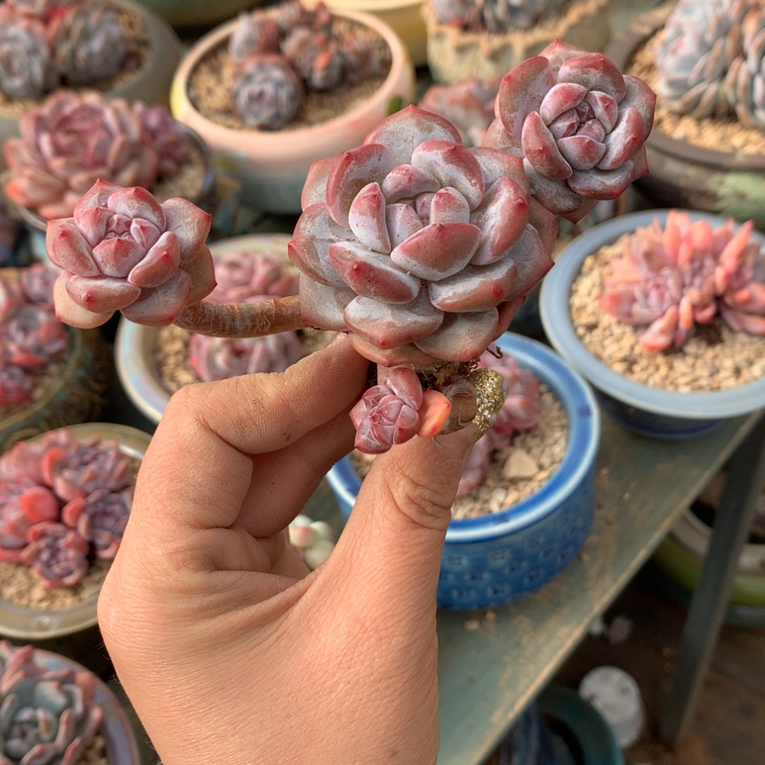 哈哈哈哈哈哈哈哈哈哈哈