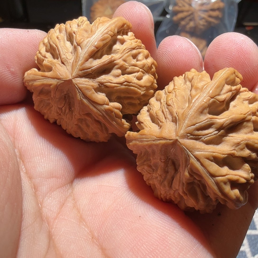 文玩核桃把件御龙正奔