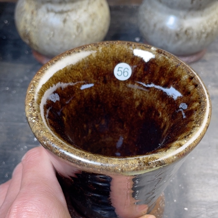 茶宠盏盏灯都是我的爱啊