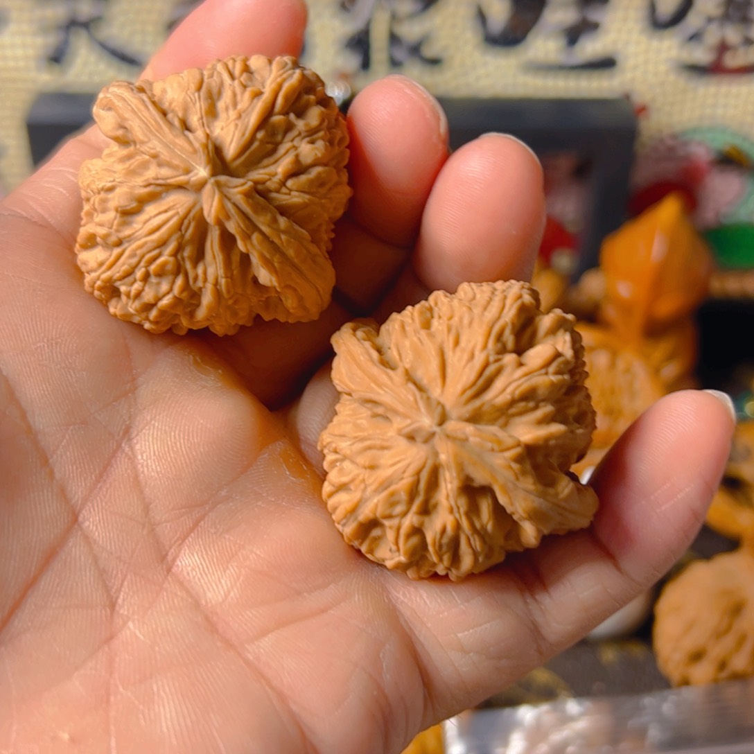 把件文玩核桃白狮子40