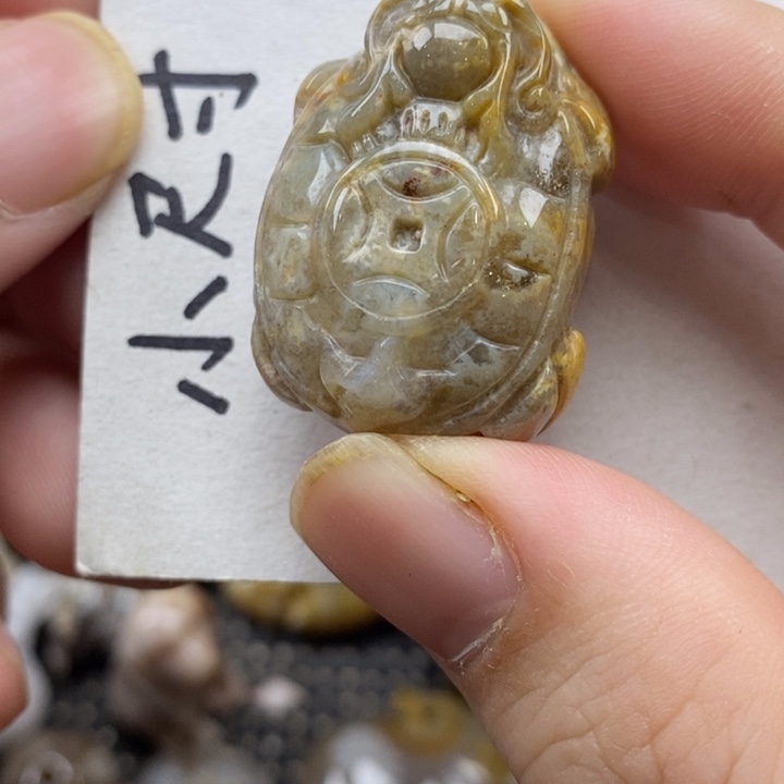 颈饰未镶嵌硅化珊瑚（珊瑚玉）