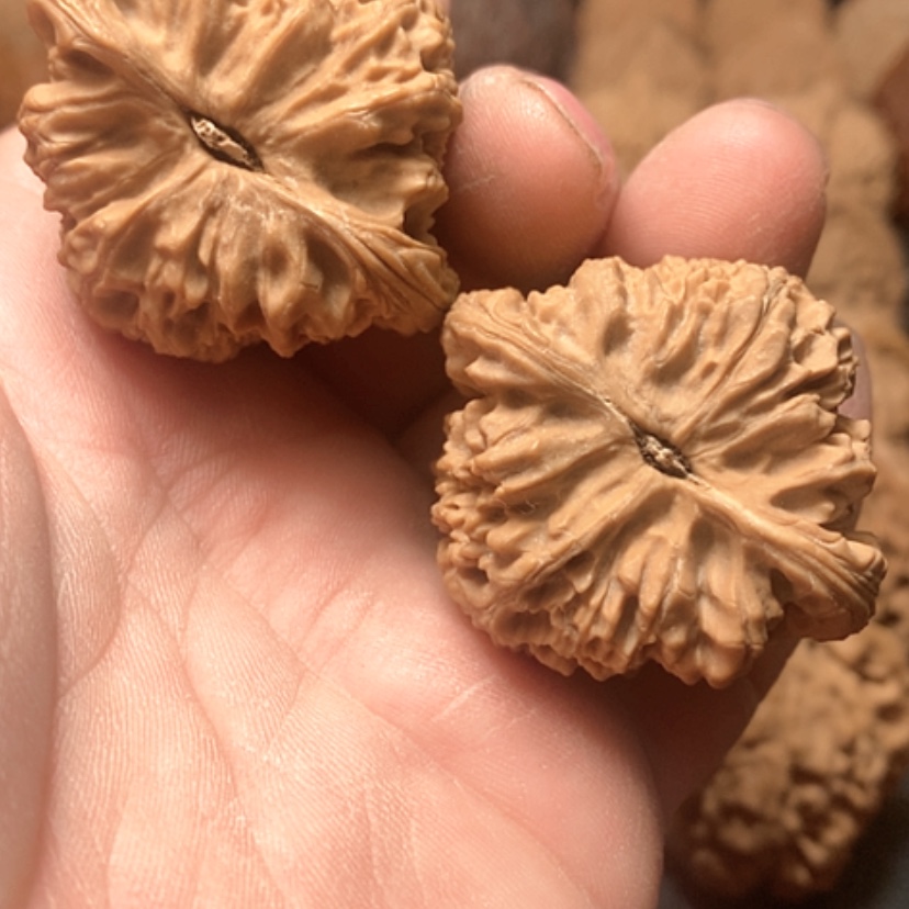 【闪购商品】美***灶南疆石